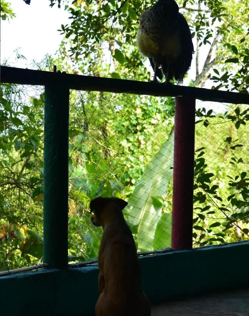 Albergue A Pousada Rastafari Herbal Gardens Negril